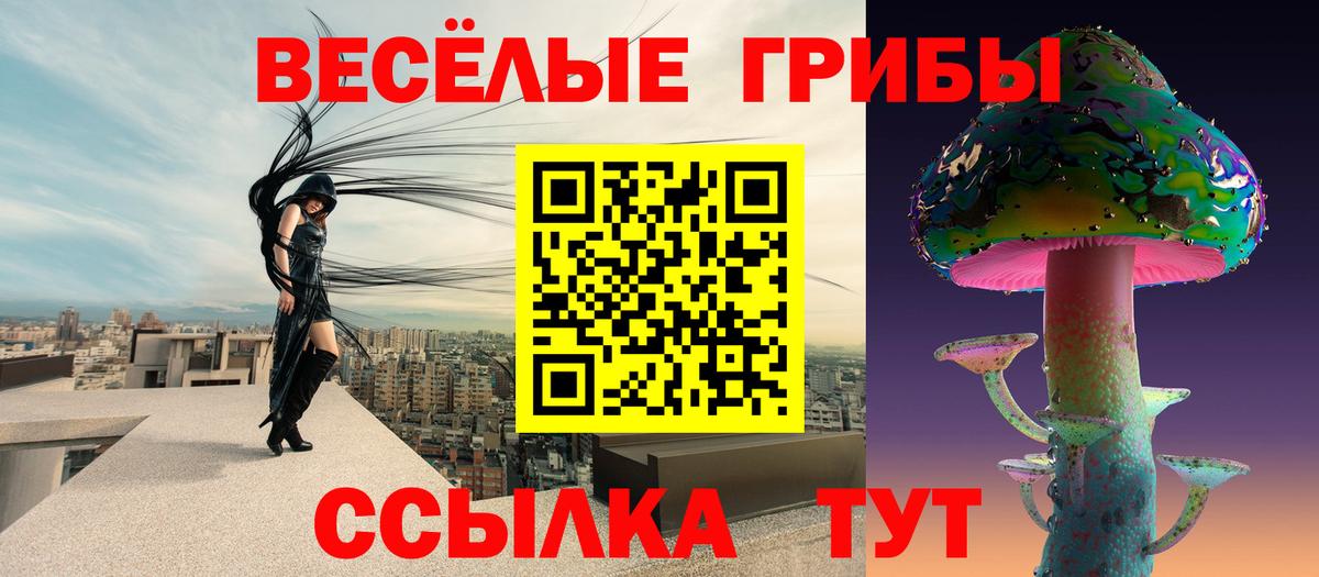 Псилоцибиновые грибы прущие грибы Зима