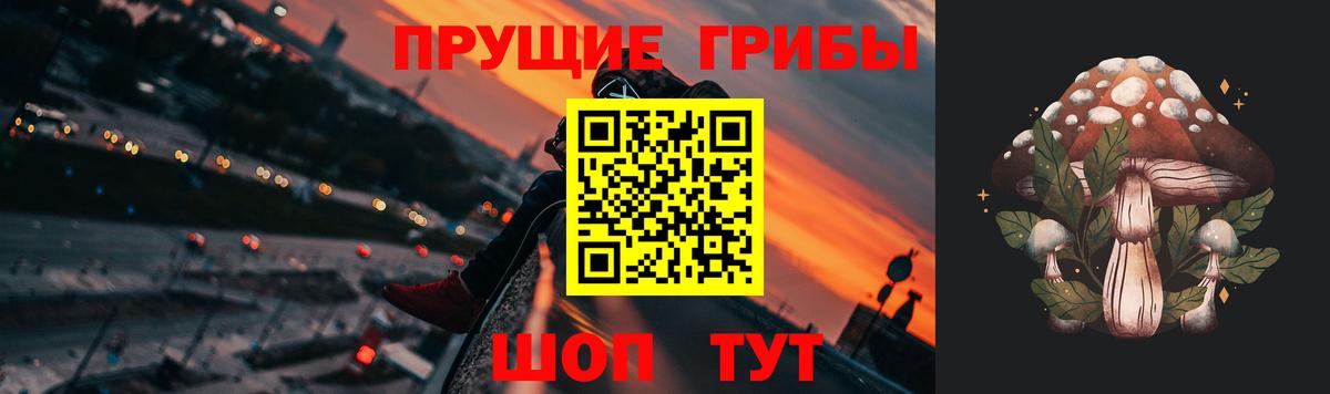 даркнет сайт  Галлюциногенные грибы ЛСД  Вход с VPN  Зима 