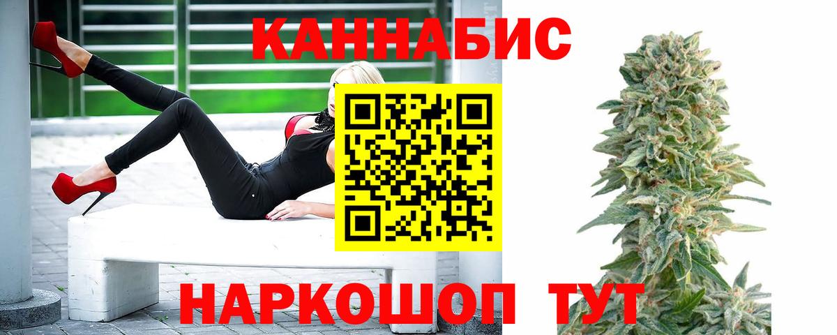 Бошки Шишки планчик Зима